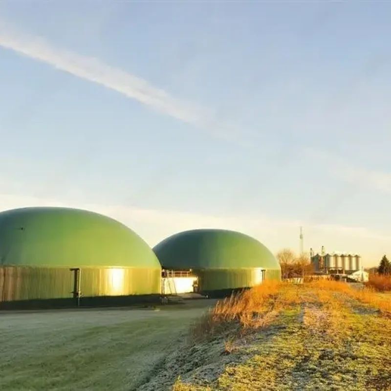 Anaerobic Digestion